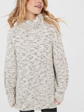 NWT Aerie Chillside Turtleneck Sweater